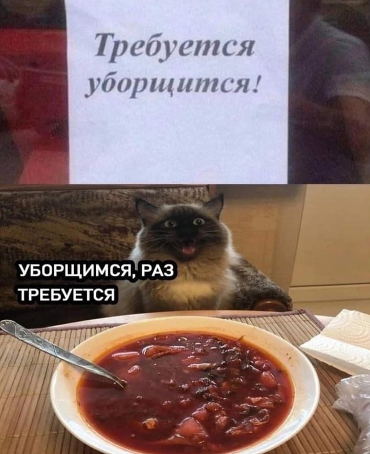 Пора обедать картинки с юмором и позитивом