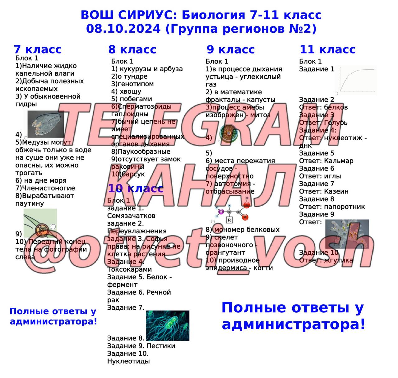 Как проходить олимпиаду в сириусе по биологии. Как проходить олимпиаду в сириусе по биологии