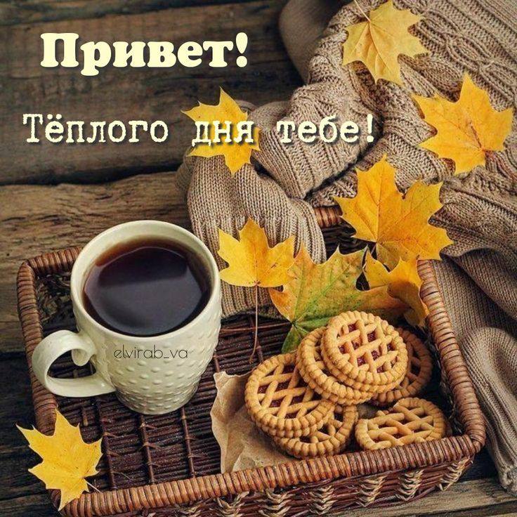 Стильные Осенние Картинки С Добрым Утром