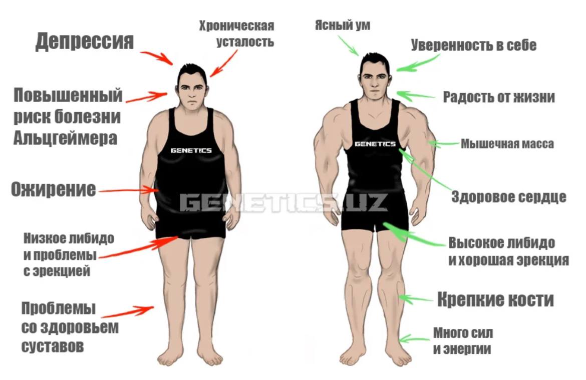 Показатели высокого тестостерона у мужчин. Низкий тестостерон что это. Уровень общего тестостерона у мужчин норма таблица. Низкий уровень тестостерона. Тестостерон у мужчин.