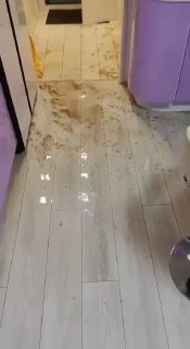 Жесть дня телеграм